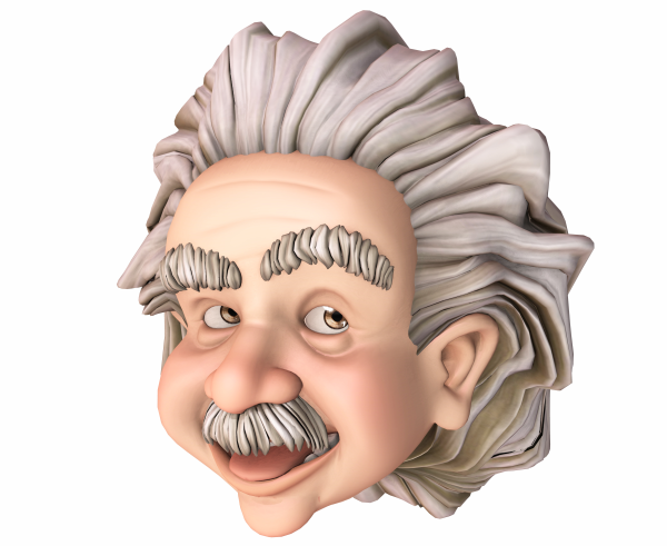 describe the image