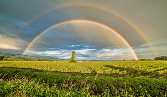 crop-field-under-rainbow-and-cloudy-skies-at-dayime-1542495
