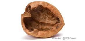 walnut_shell_web.jpg